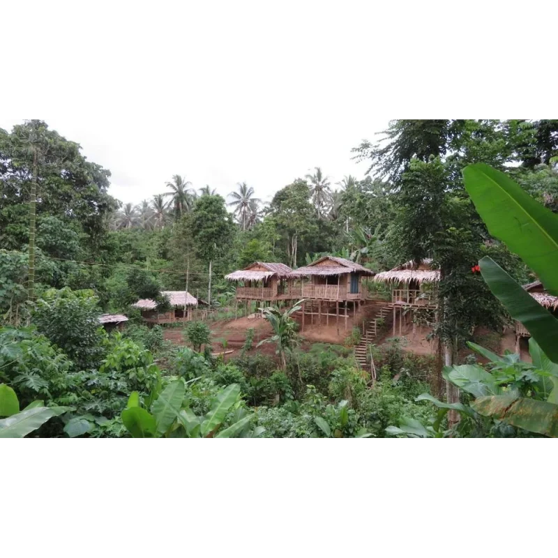 PNGFE Nagu Tours
