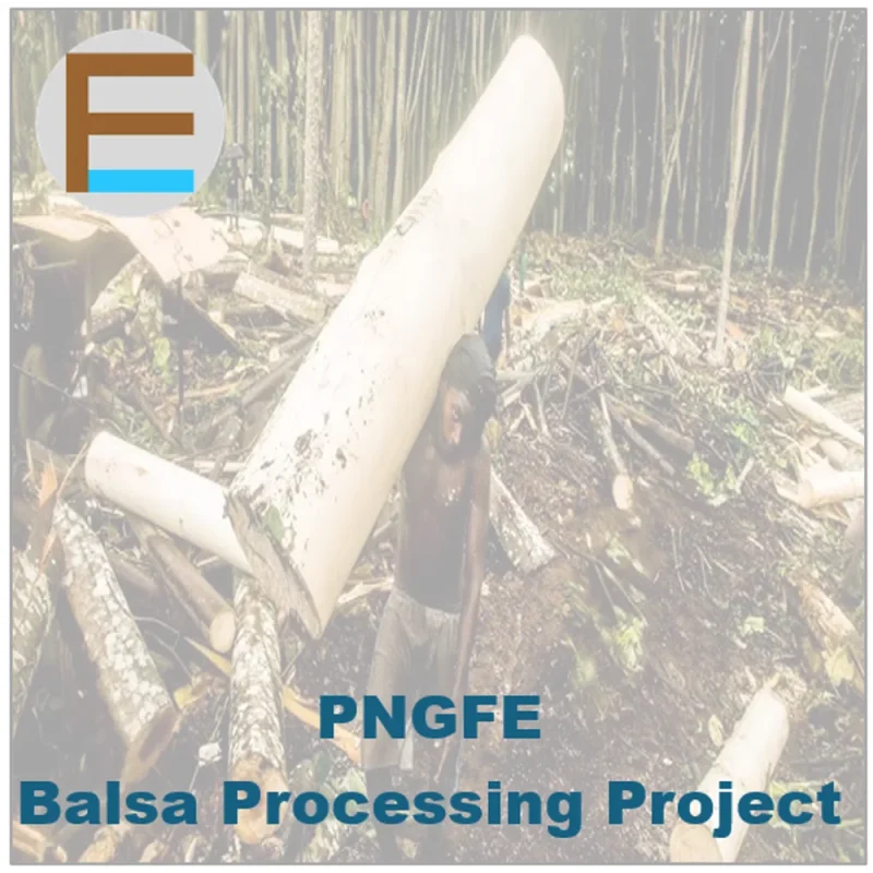 Balsa Processing Project