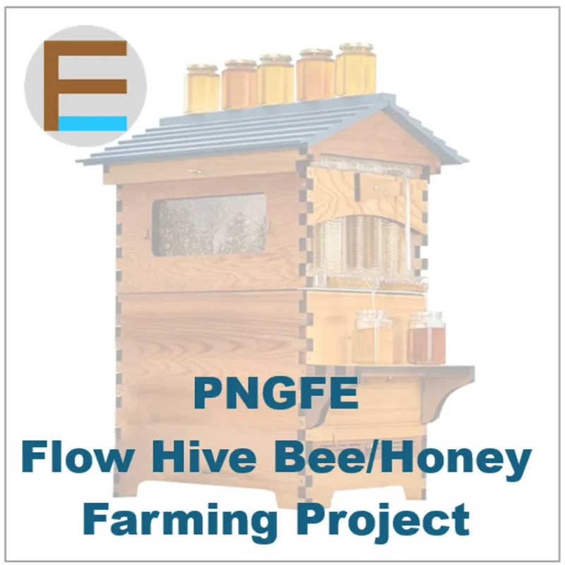 Flow Hive Bee/Honey Farming Project