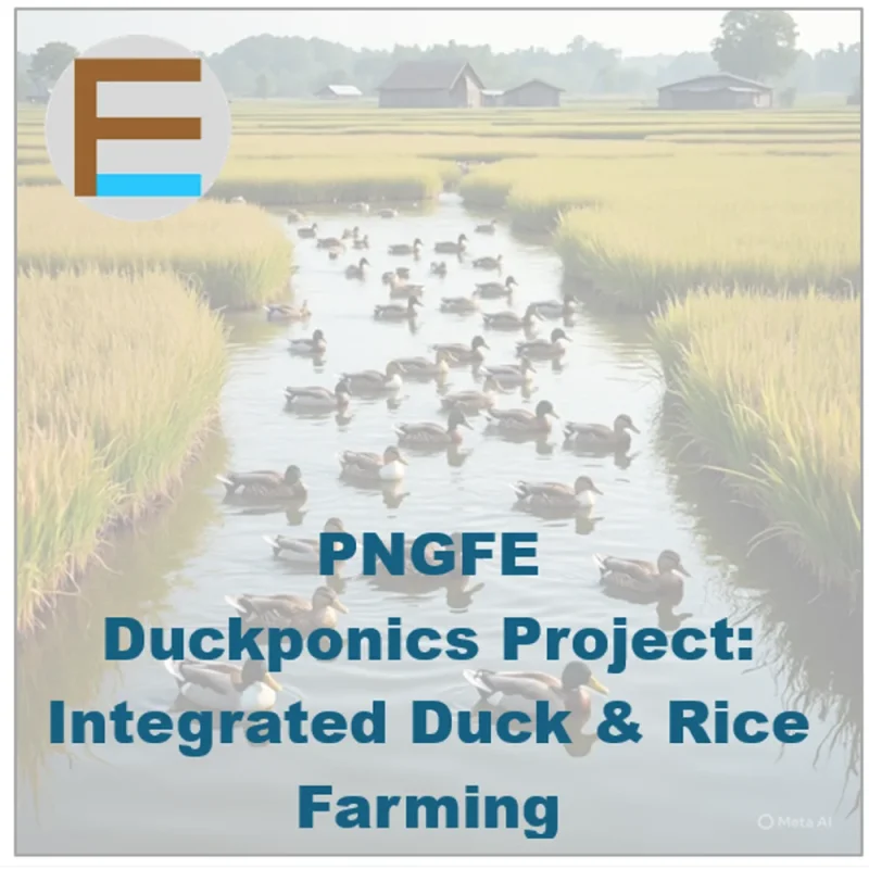 Duckponics: Integrated Rice and Duck Farming System Project
